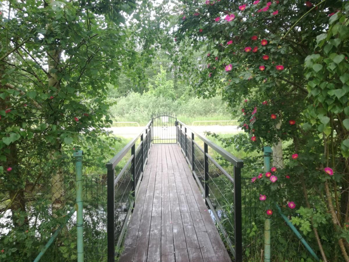 Majka Daire Dębki Dış mekan fotoğraf